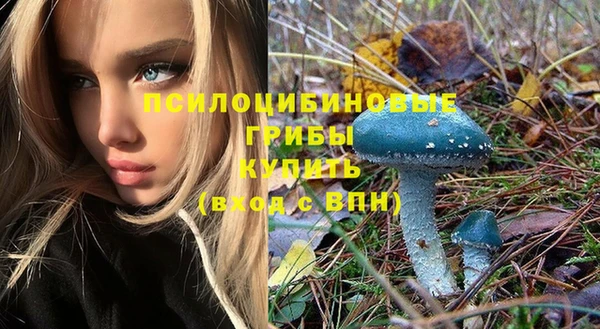 прущая мука Пересвет