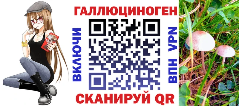 Галлюциногенные грибы мицелий  Арамиль 